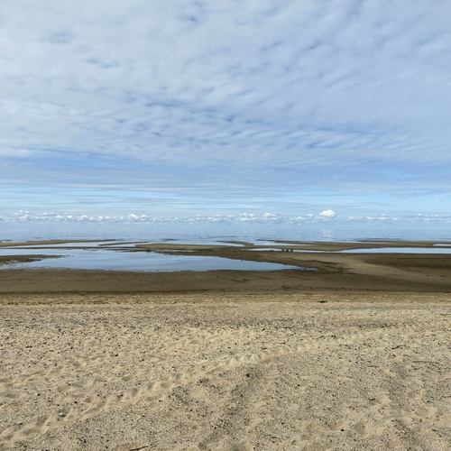 Photo #13952466