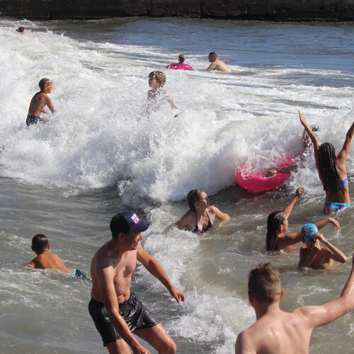 Photo #13952635