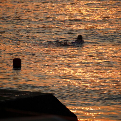 Photo #13952638