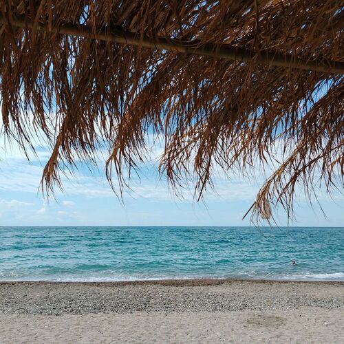 Photo #13952717