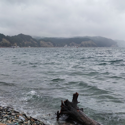 Photo #13952718