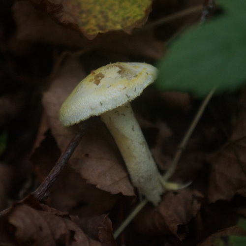 Photo #13952865