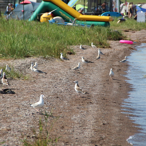 Photo #13952938