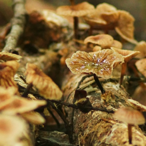 Photo #13953099