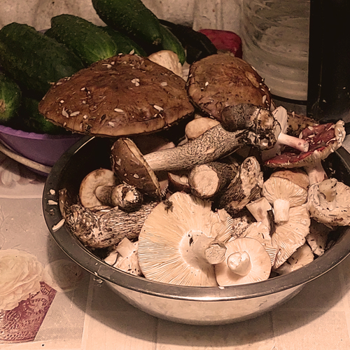 Photo #13953106