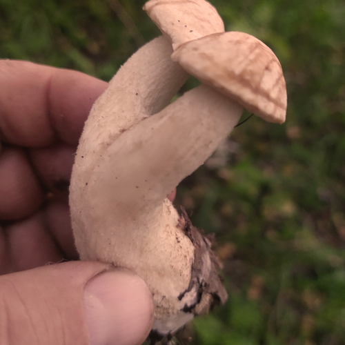 Photo #13953108
