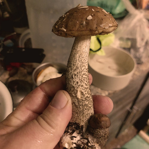 Photo #13953109