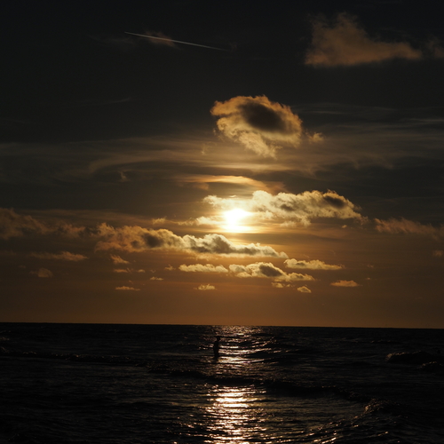 Photo #13953315