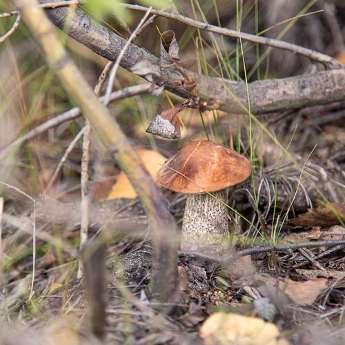 Photo #13953461