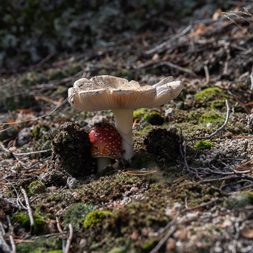 Photo #13953462