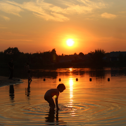 Photo #13953477