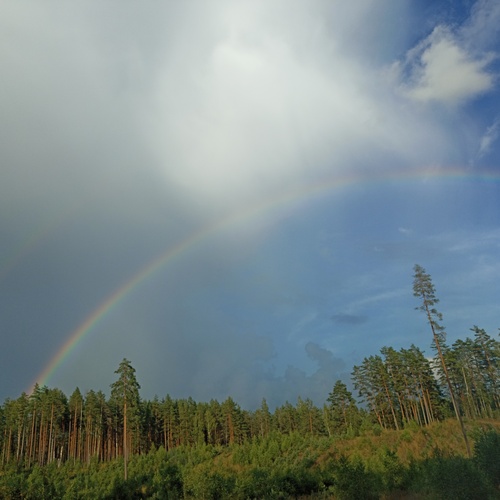 Photo #13953598