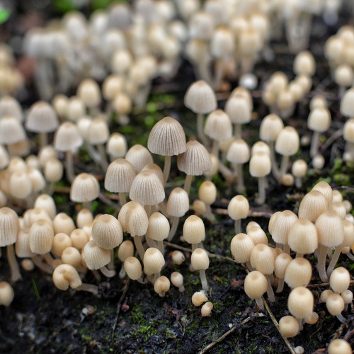 Photo #13953617