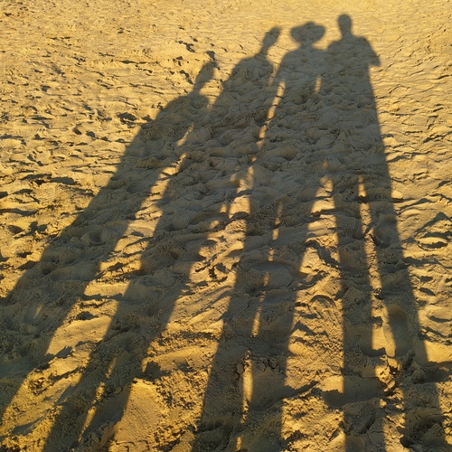 Photo #13953724