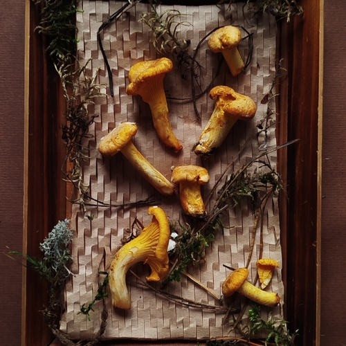 Photo #13953826