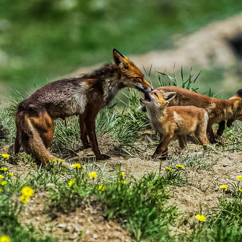 Photo #13953918