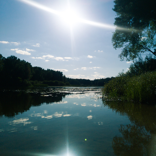 Photo #13954041
