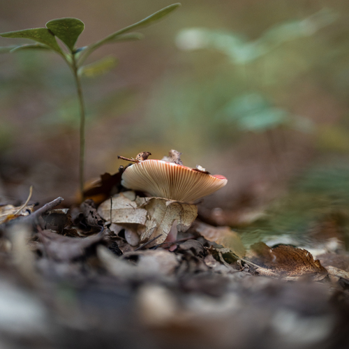 Photo #13954050