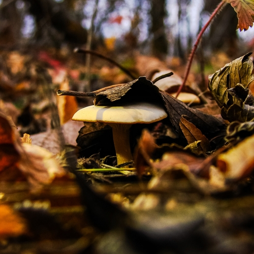 Photo #13954070