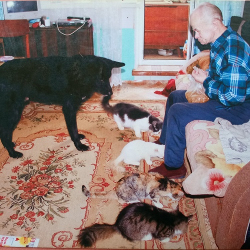 Photo #13954326