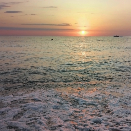 Photo #13954415