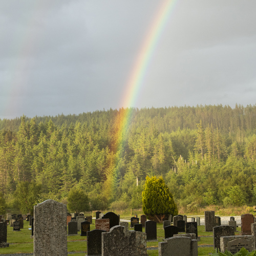 Photo #13954435