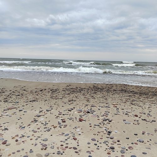 Photo #13954441