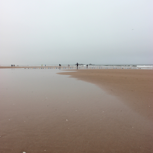 Photo #13954549