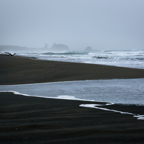 Photo #13954748