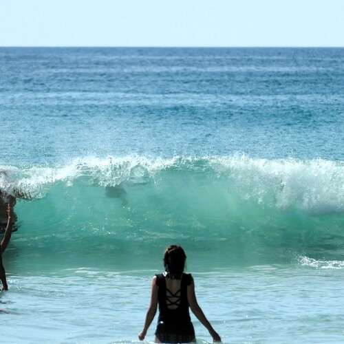 Photo #13954819