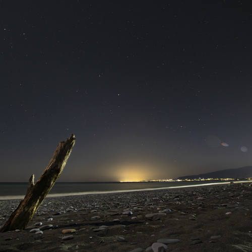 Photo #13954831