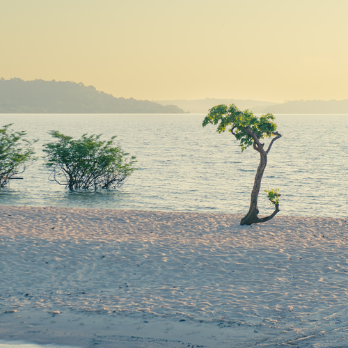 Solitude by the Alter do Chão, rio Tapajós