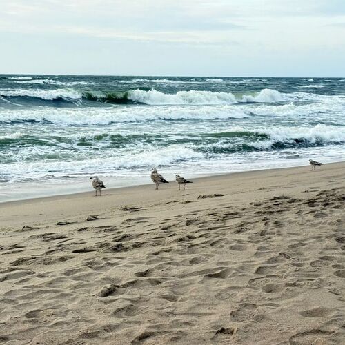 Photo #13954915