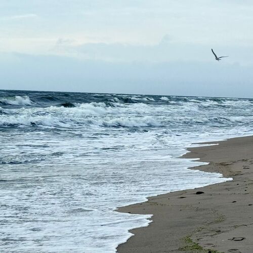Photo #13954916