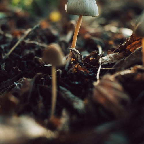Photo #13955123