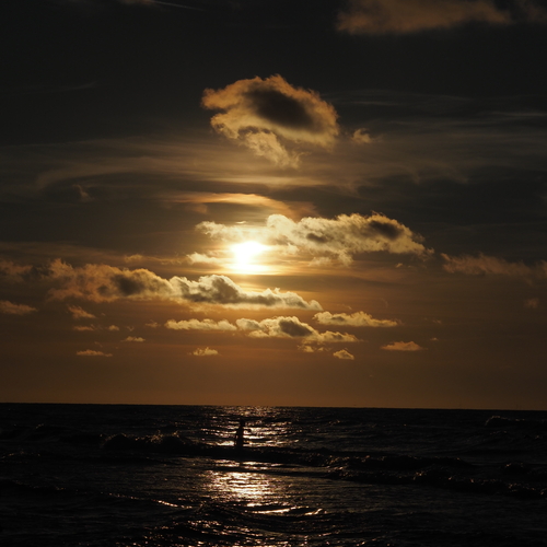 Photo #13955173
