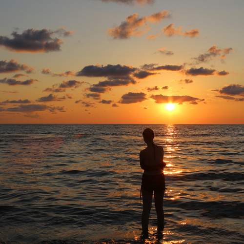 Photo #13955275