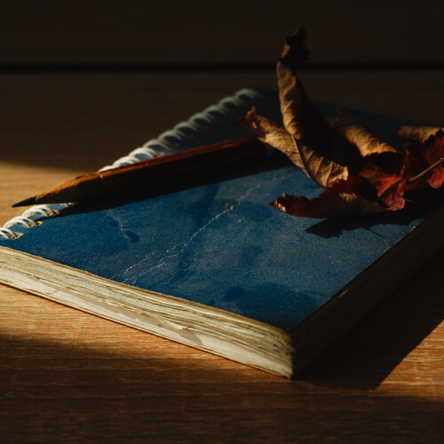 Photo #13955296