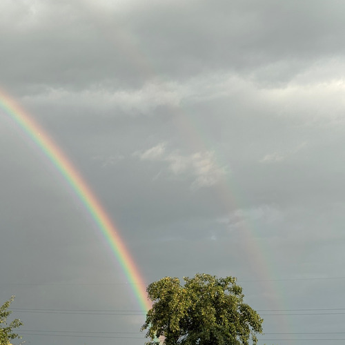 Photo #13955377