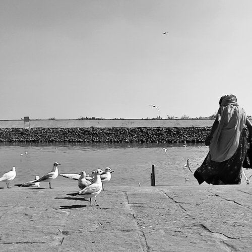 Photo #13955423