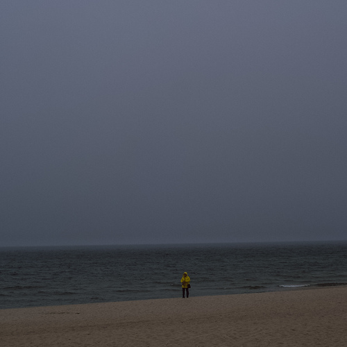 Photo #13955579