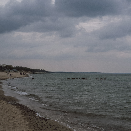 Photo #13955581