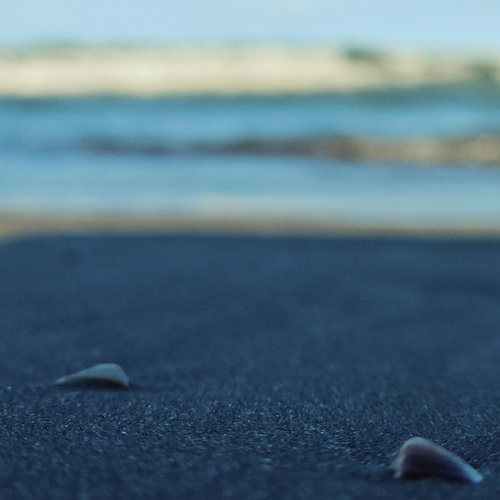 Photo #13955595
