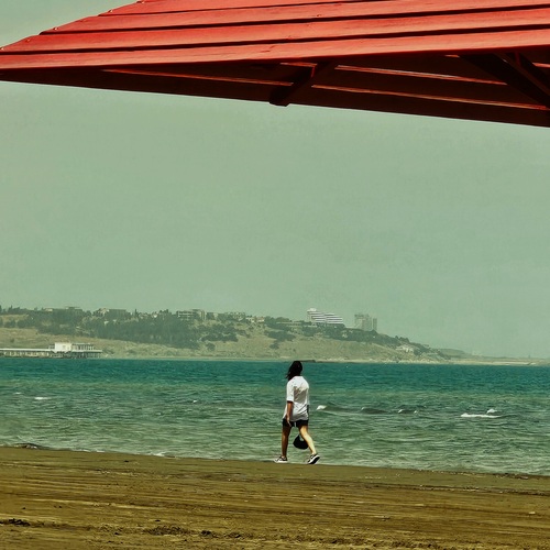 Photo #13955600