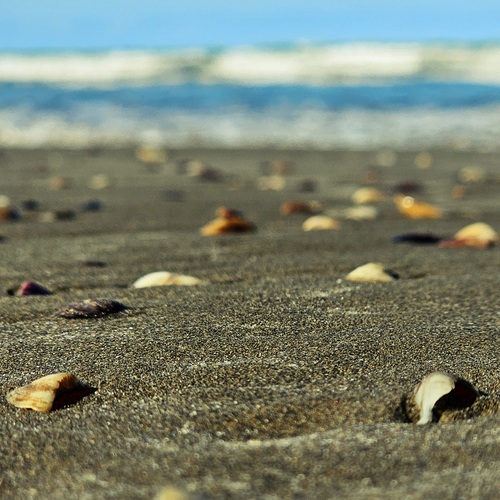 Photo #13955604