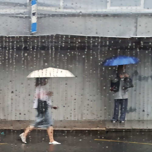 Photo #13955668