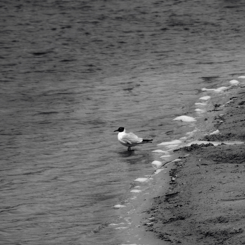 Photo #13955751