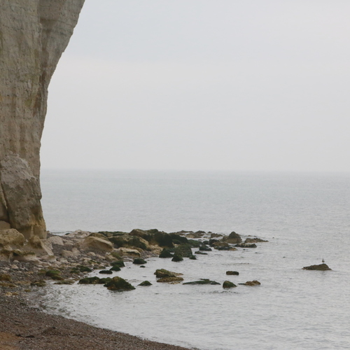 Photo #13955762