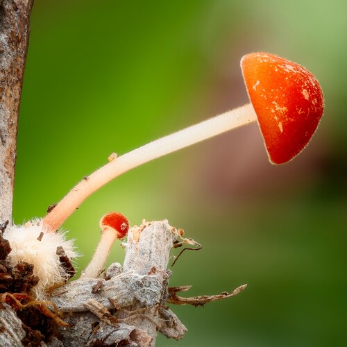 Photo #13955792
