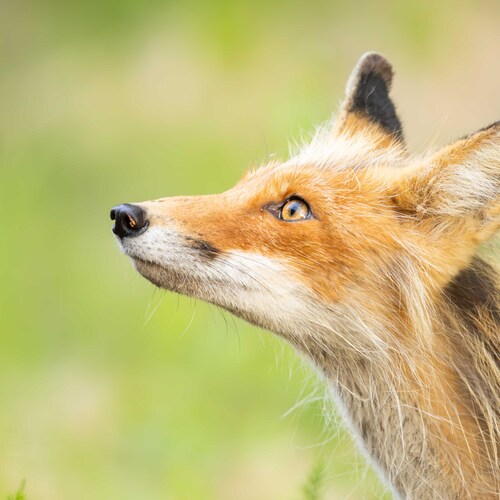 Photo #13955896